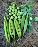 Cascadia Snap Pea Seeds
