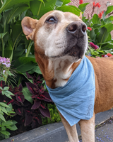 Naturally Dyed Organic Cotton Bandanas