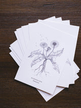 Wild Botanical Postcard Set