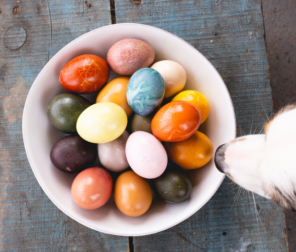 How to Dye Eggs Naturally for Easter