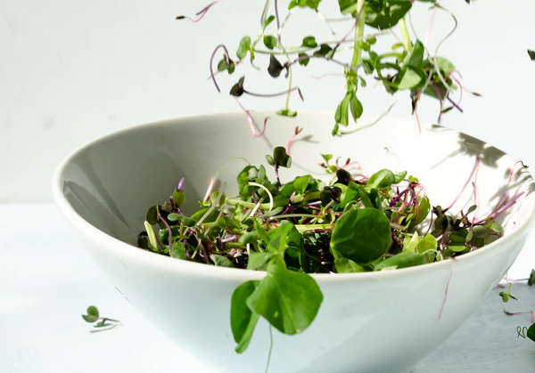 A Guide To Microgreens
