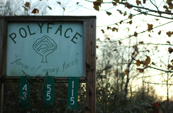Lady Farmer Visits Polyface Farm in Swoope, VA
