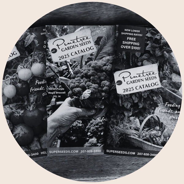 Melissa and Jaci | Pinetree Garden Seeds  Lady Farmer Marketplace