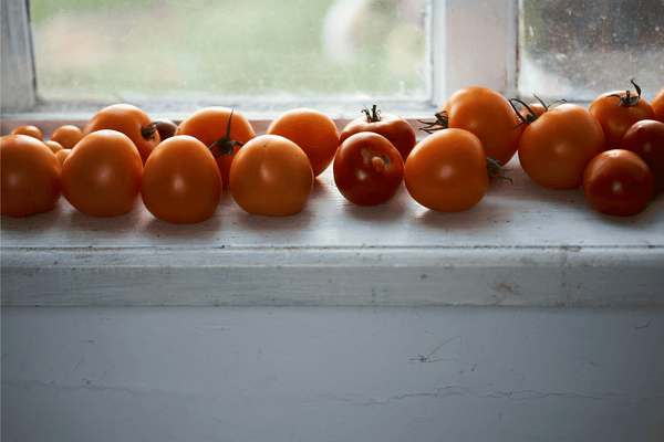 Tarte de la Tomate: A Love Letter to a Favorite Summer Dish